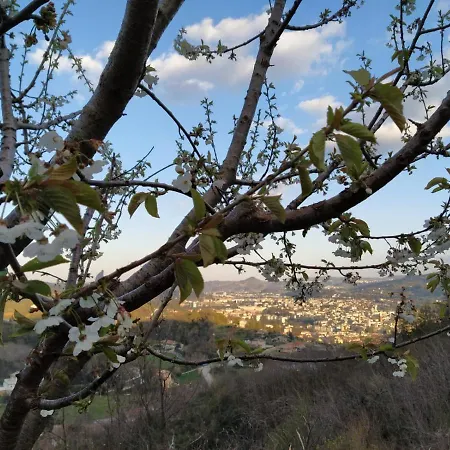 Mimi E Coco Country House Ascoli Piceno Exterior foto