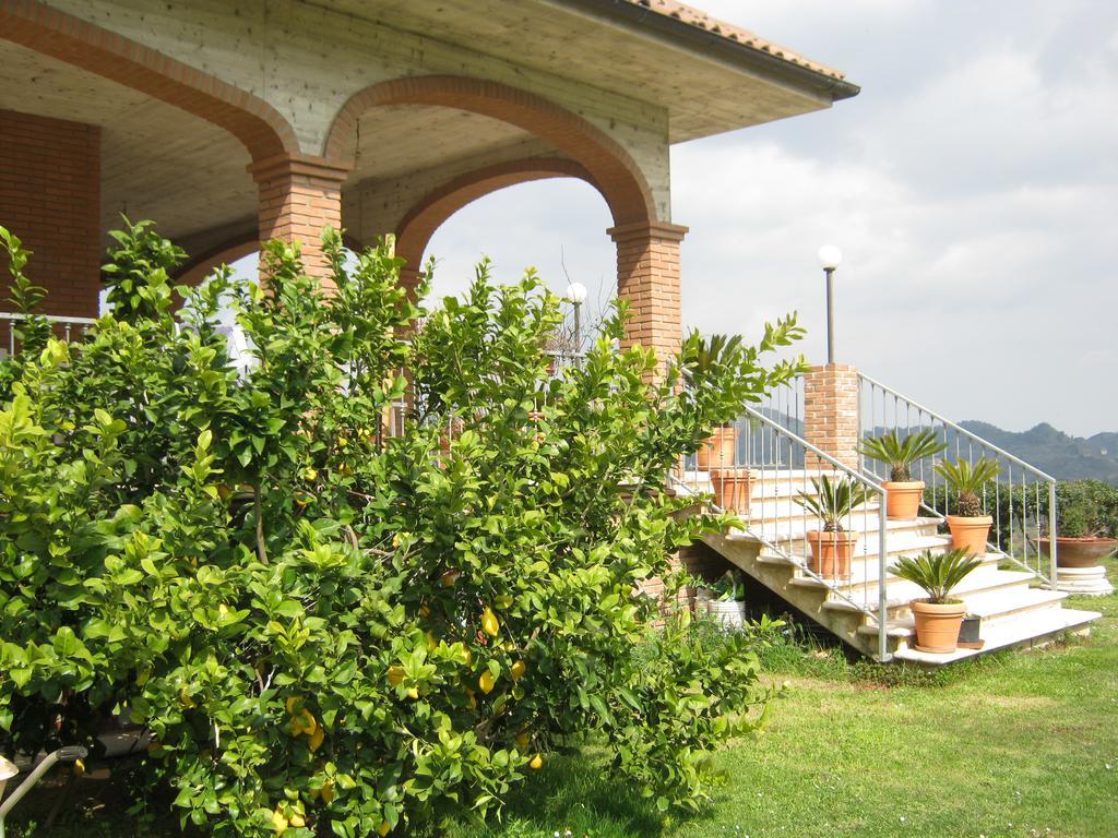 Mimi E Coco Ascoli Piceno